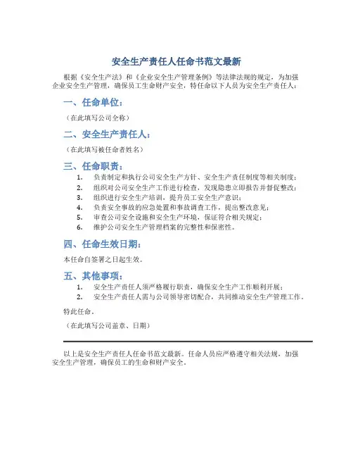 安全生产责任人任命书范文最新
