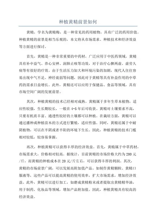 种植黄精前景如何