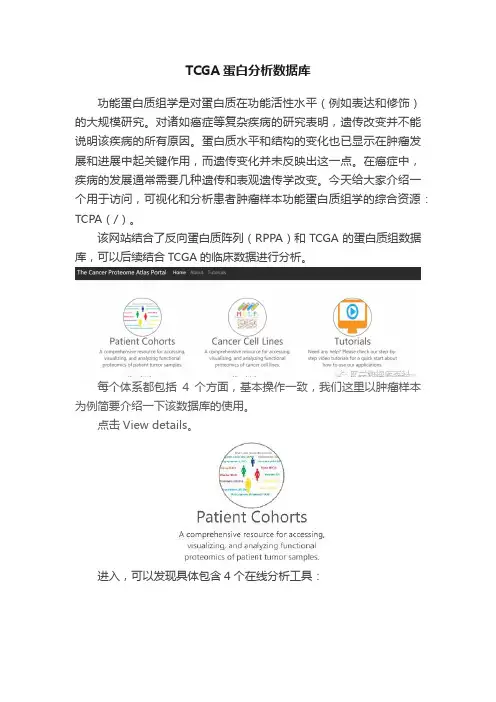 TCGA蛋白分析数据库