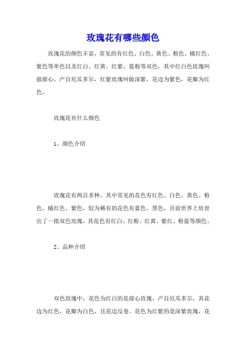 玫瑰花有哪些颜色