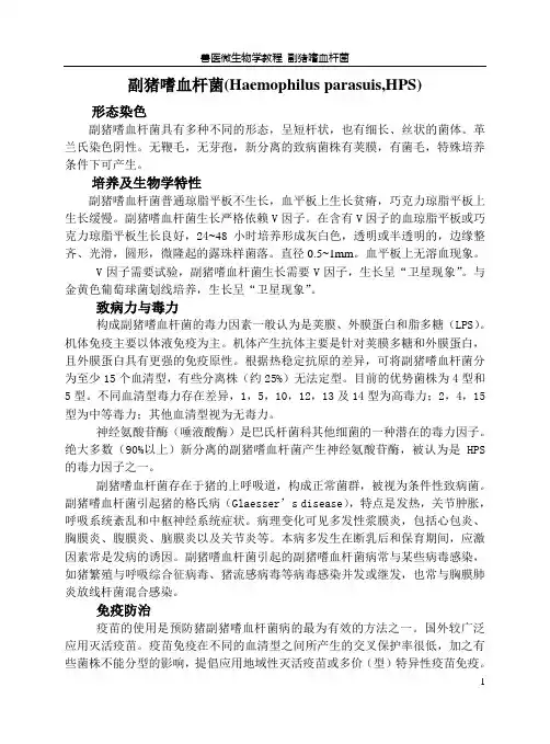 副猪嗜血杆菌