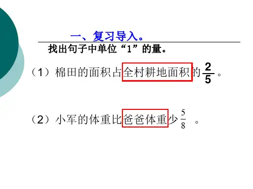 画线段图并列方程解答分数应用题