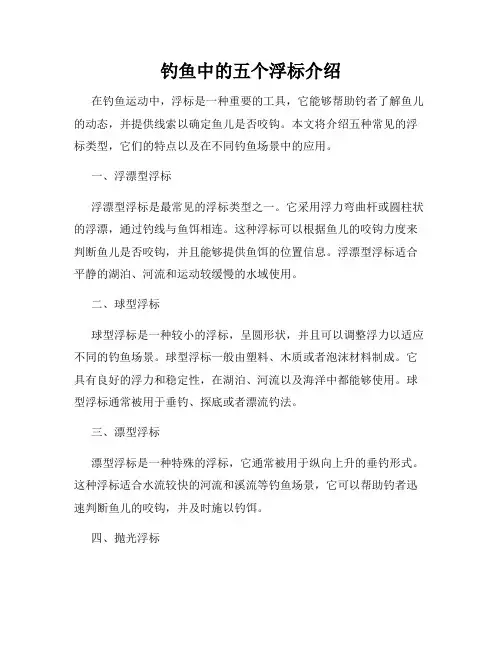 钓鱼中的五个浮标介绍