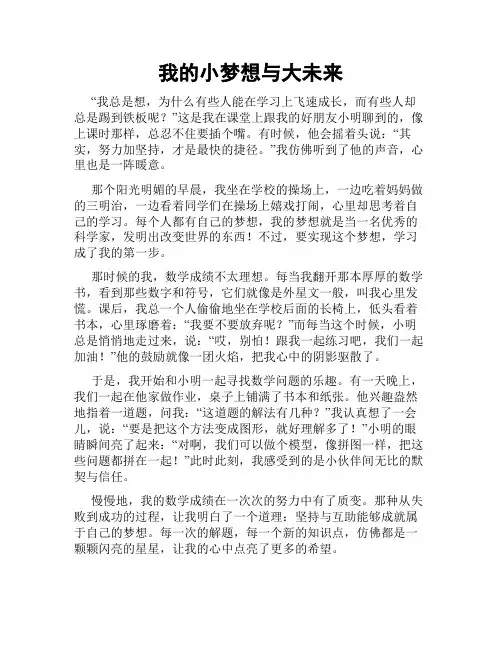 我的小梦想与大未来