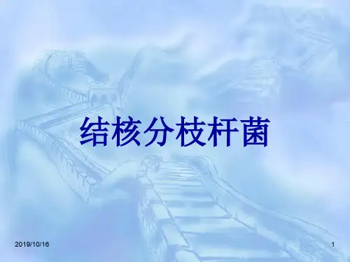 结核分枝杆菌
