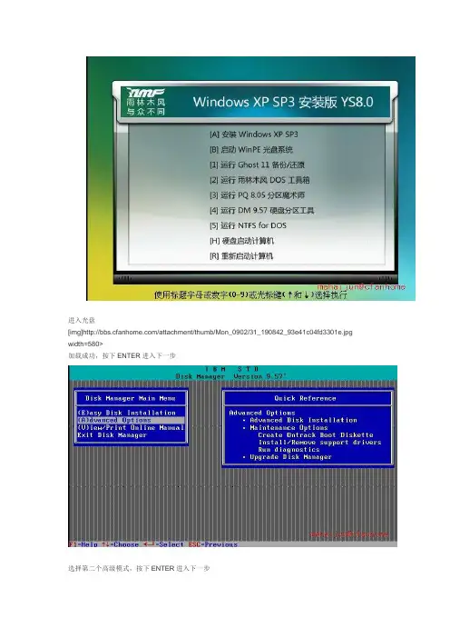 DM分区图文教程