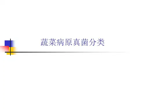 蔬菜病原真菌分类