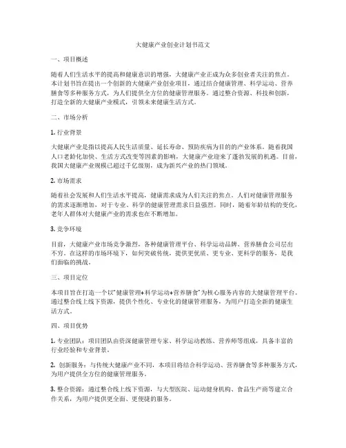 大健康产业创业计划书范文