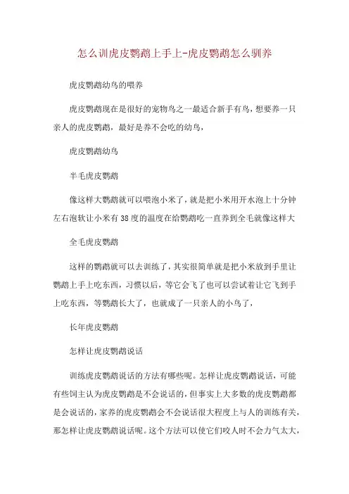 怎么训虎皮鹦鹉上手上-虎皮鹦鹉怎么驯养