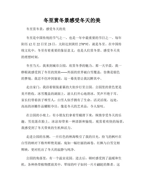 冬至赏冬景感受冬天的美