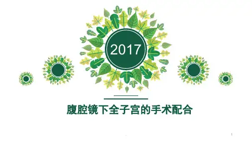 腹腔镜下子宫切除手术的手术配合ppt演示课件