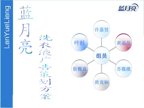 蓝月亮洗衣液广告策划
