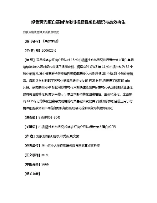 绿色荧光蛋白基因转化柑橘胚性愈伤组织与高效再生