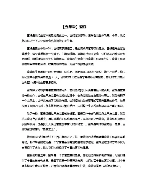 【五年级】蜜蜂