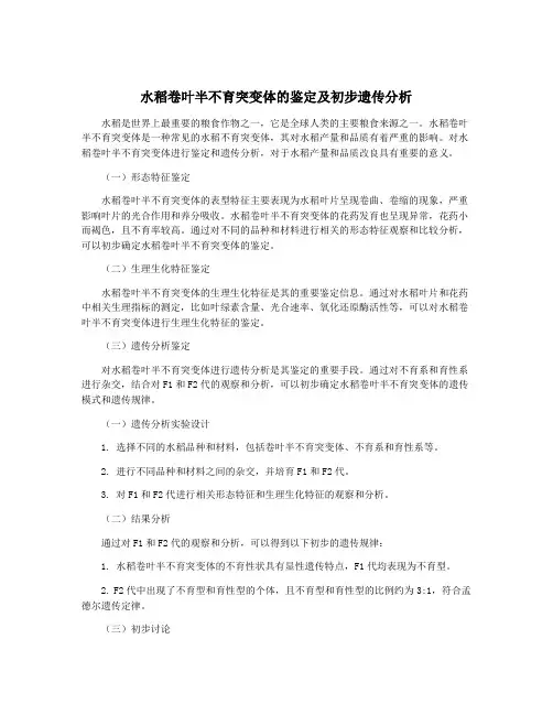水稻卷叶半不育突变体的鉴定及初步遗传分析