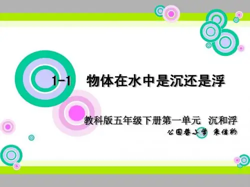 五下1-1《物体在水中是沉还是浮》朱信豹