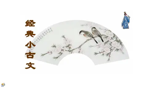 六年级小古文
