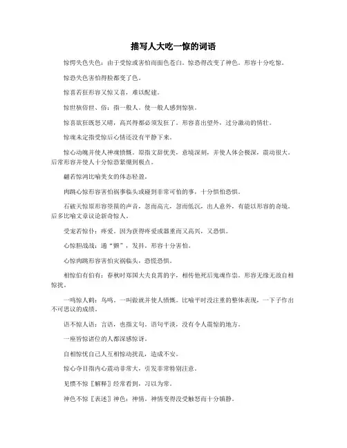 描写人大吃一惊的词语