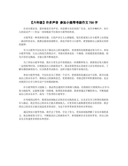 【六年级】许多声音 参加小提琴考级作文700字