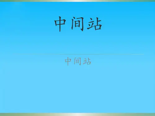 中间站布置图分析PPT
