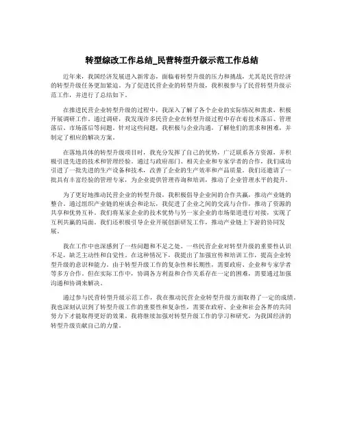 转型综改工作总结_民营转型升级示范工作总结