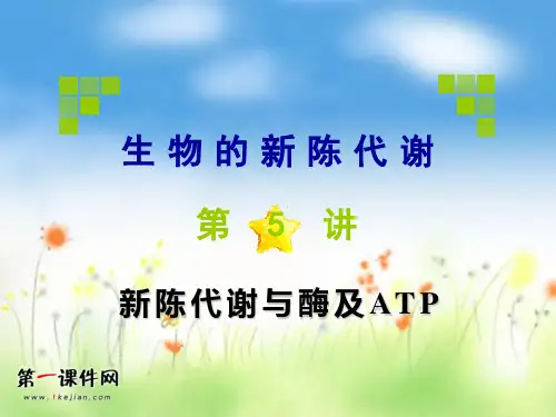 高考生物第一轮总复习-新陈代谢与酶及ATPPPT优质课件