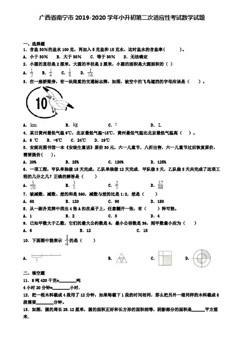广西省南宁市2019-2020学年小升初第二次适应性考试数学试题