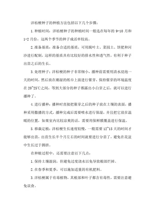 洋桔梗种子的种植方法