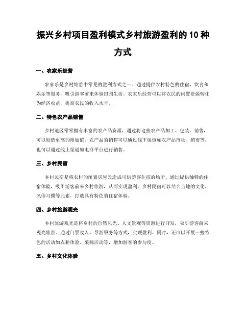振兴乡村项目盈利模式乡村旅游盈利的10种方式