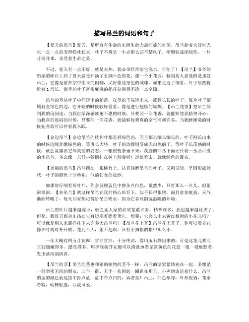 描写吊兰的词语和句子