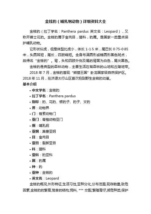金钱豹（哺乳纲动物）详细资料大全
