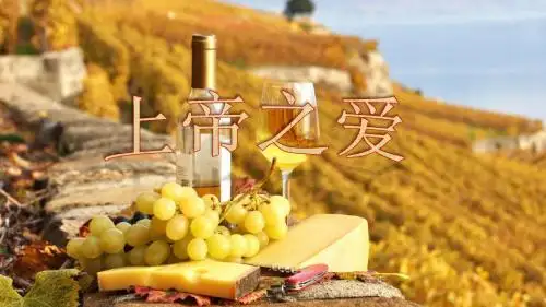 葡萄酒业企业设计