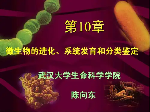 第十章微生物的进化、系统发育和分类鉴定