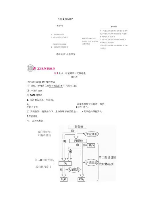 2017高考生物一轮复习教案：专题5考点一有氧呼吸与无