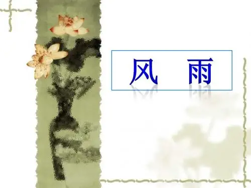 贾平凹《风雨》