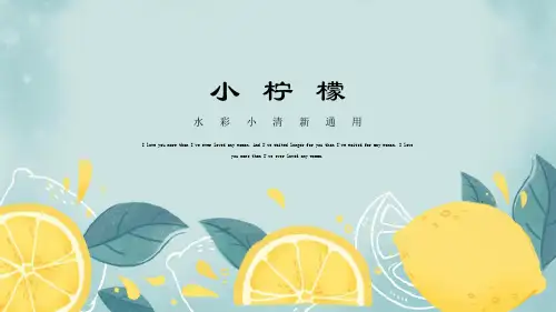 清凉一夏柠檬小清新活动策划方案办公通用优秀ppt模板