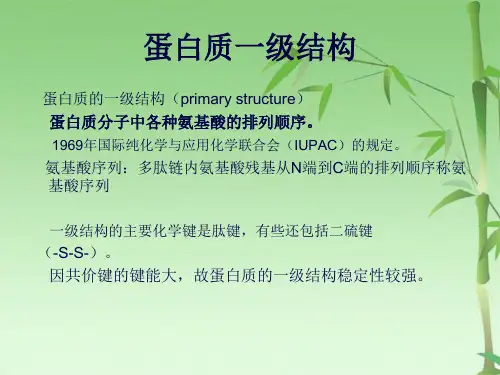 蛋白质一级结构决定高级结构(共21张PPT)