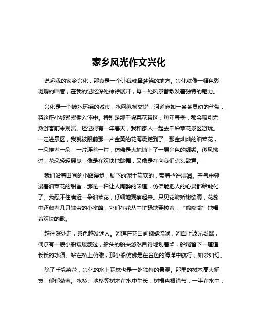 家乡风光作文兴化