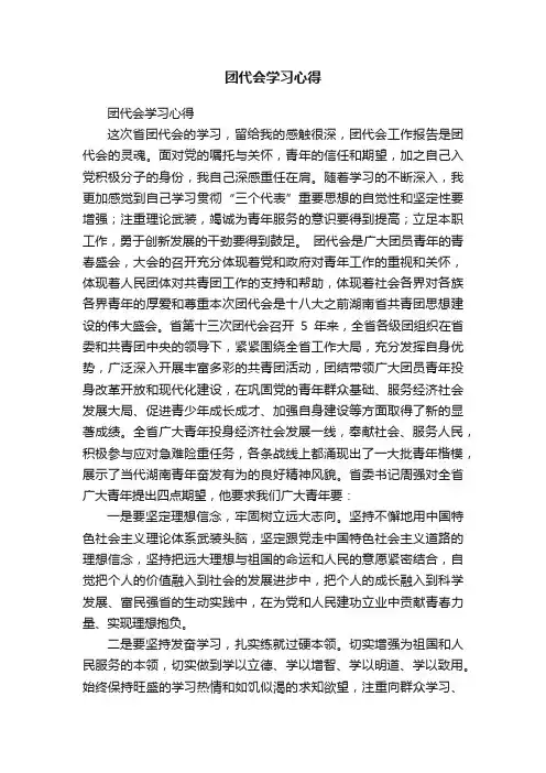 团代会学习心得