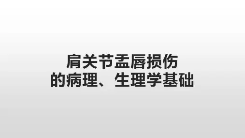肩关节盂唇损伤的病理生理学基础