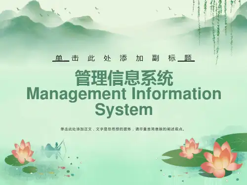 管理信息系统的技术基础