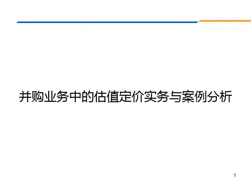 并购业务中的估值定价实务与案例分析课件