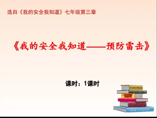我的安全我知道PPT课件