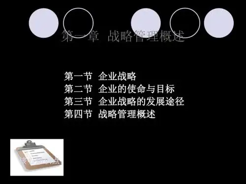 公司战略和风险管理-战略管理概述 共47页