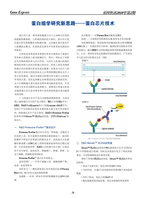 蛋白组学研究新思路——蛋白芯片技术