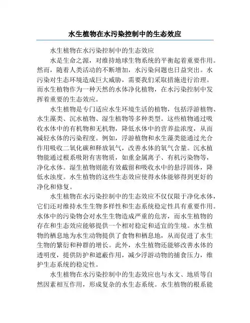 水生植物在水污染控制中的生态效应