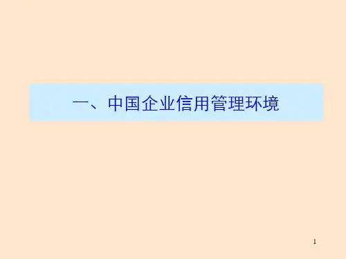 中国企业信用管理的一般模式bpie