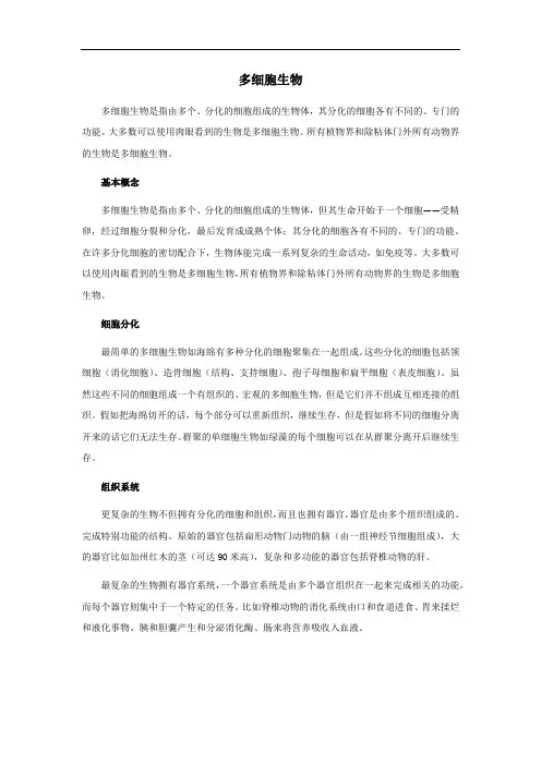 多细胞生物