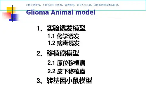 胶质瘤动物模型课件
