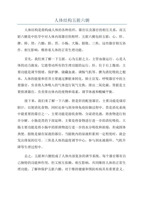 人体结构五脏六腑